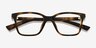 Armani Exchange AX3146U Shiny Havana PlasticEyeglass Frames d'EyeBuyDirect, Vue Rapprochée
