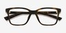 Armani Exchange AX3146U Shiny Havana PlastiqueMontures de lunettes de vue d'EyeBuyDirect, Vue Rapprochée