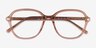 Ray-Ban RB5456 Transparent Brown AcétateMontures de lunettes de vue d'EyeBuyDirect, Vue Rapprochée