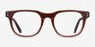 Ray-Ban RB5461D Transparent Brown AcetateEyeglass Frames from EyeBuyDirect, Front View