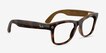 Ray-Ban Meta (Gen 3) Wayfarer Optics Polished Havana Plastic from EyeBuyDirect