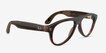 Ray-Ban Meta (Gen 3) Aviator Optics Polished Transparent Umber Plastic from EyeBuyDirect