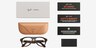 Ray-Ban Meta (Gen 3) Aviator Optics Polished Transparent Umber Plastic from EyeBuyDirect