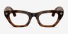 Ray-Ban Meta (Gen 3) Zena Optics Polished Havana Plastic from EyeBuyDirect, Front View