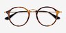 Ray-Ban RB2447V Tortoise Acetate-metalEyeglass Frames from EyeBuyDirect, Closed View