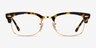 Ray-Ban RB3916V Gold Tortoise AcetateEyeglass Frames from EyeBuyDirect, Front View