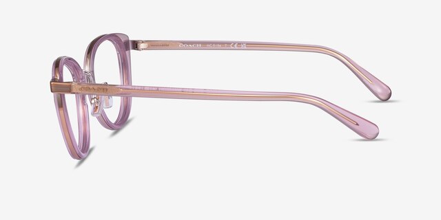 Coach HC5154 Transparent Pink AcetateEyeglass Frames from EyeBuyDirect, Side View