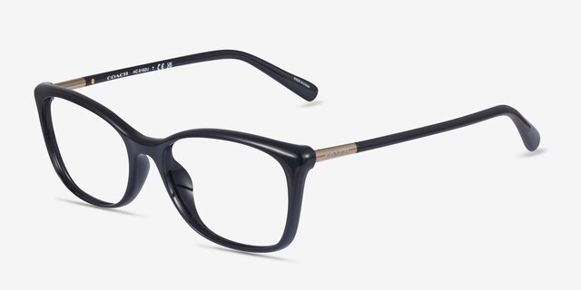 Coach HC6192U Black PlasticEyeglass Frames from EyeBuyDirect, Angle View