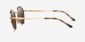 Ray-Ban RB3681 Arista MetalSunglass Frames from EyeBuyDirect, Side View