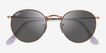 Ray-Ban RB3447 Round Rose Gold MetalSunglass Frames from EyeBuyDirect, Closed View