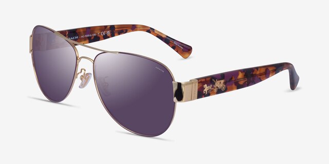 Coach HC7059 L138 Purple Gold MetalSunglass Frames from EyeBuyDirect, Angle View