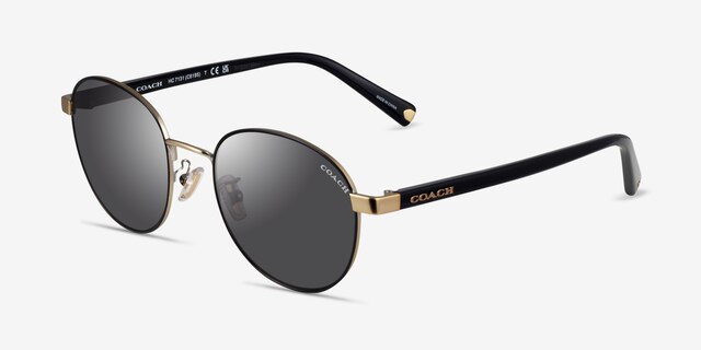 Coach HC7131 C6195 Black Gold MetalSunglass Frames from EyeBuyDirect, Angle View
