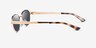 Ray-Ban RB3774D Arista MetalSunglass Frames from EyeBuyDirect, Side View