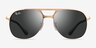 Ray-Ban RB3793 Bill Max Arista MetalSunglass Frames from EyeBuyDirect, Front View