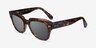 Ray-Ban State Street Havana On Transparent Brown AcetateSunglass Frames from EyeBuyDirect, Angle View