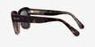 Ray-Ban State Street Havana On Transparent Brown AcetateSunglass Frames from EyeBuyDirect, Side View