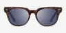 Ray-Ban RB2168 Meteor Havana AcetateSunglass Frames from EyeBuyDirect, Front View