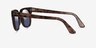 Ray-Ban RB2168 Meteor Havana AcetateSunglass Frames from EyeBuyDirect, Side View