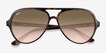 Ray-Ban RB4125 Tortoise PlasticSunglass Frames from EyeBuyDirect, Closed View