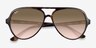 Ray-Ban RB4125 Tortoise PlasticSunglass Frames from EyeBuyDirect, Closed View