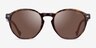 Vogue Eyewear VO5368S Dark Tortoise AcetateSunglass Frames from EyeBuyDirect, Front View