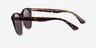 Ray-Ban RB2185 Tortoise On Transparent Brown AcetateSunglass Frames from EyeBuyDirect, Side View