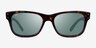 Ray-Ban RB2283 Tortoise AcetateSunglass Frames from EyeBuyDirect, Front View