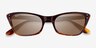 Ray-Ban RB2299 Striped Tortoise AcetateSunglass Frames from EyeBuyDirect, Closed View