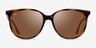 Ray-Ban RB4378 Tortoise PlasticSunglass Frames from EyeBuyDirect, Front View