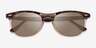 Ray-Ban RB2398 Tortoise Brown AcetateSunglass Frames from EyeBuyDirect, Closed View