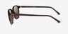 Ray-Ban RB2193 Leonard Striped Brown AcetateSunglass Frames from EyeBuyDirect, Side View