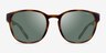 ARNETTE Barranco Dark Tortoise PlasticSunglass Frames from EyeBuyDirect, Front View