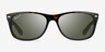 Ray-Ban RB2132 Wayfarer Tortoise PlasticSunglass Frames from EyeBuyDirect, Front View