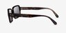Ray-Ban RB2189 Benji Tortoise Brown AcetateSunglass Frames from EyeBuyDirect, Side View