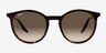 Ray-Ban RB2204 Tortoise AcetateSunglass Frames from EyeBuyDirect, Front View