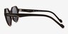 Vogue Eyewear VO5370S Brown AcetateSunglass Frames from EyeBuyDirect, Side View