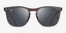 Ray-Ban RB2210 Clear Dark Brown PlasticSunglass Frames from EyeBuyDirect, Front View