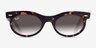 Ray-Ban RB2242 Wayfarer Oval Pink Tortoise PlasticSunglass Frames from EyeBuyDirect, Front View