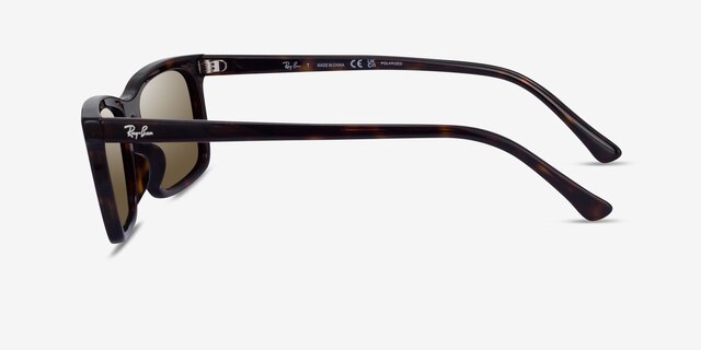 Ray-Ban RB4435 Tortoise PlasticSunglass Frames from EyeBuyDirect, Side View