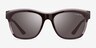 Vogue Eyewear VO5557S Dark Clear Brown PlasticSunglass Frames from EyeBuyDirect, Front View