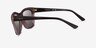 Vogue Eyewear VO5557S Dark Clear Brown PlasticSunglass Frames from EyeBuyDirect, Side View