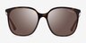 Vogue Eyewear VO5564SF Dark Tortoise AcetateSunglass Frames from EyeBuyDirect, Front View