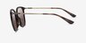 Vogue Eyewear VO5564SF Dark Tortoise AcetateSunglass Frames from EyeBuyDirect, Side View