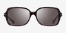 Coach HC8116 L087 Blair Dark Tortoise AcetateSunglass Frames from EyeBuyDirect, Front View