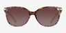 Coach HC8132 L109 Brown Tortoise AcetateSunglass Frames from EyeBuyDirect, Front View