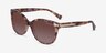 Coach HC8132 L109 Brown Tortoise AcetateSunglass Frames from EyeBuyDirect, Angle View