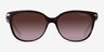 Coach HC8132 L109 Dark Tortoise AcetateSunglass Frames from EyeBuyDirect, Front View