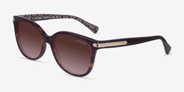 Coach HC8132 L109 Dark Tortoise AcetateSunglass Frames from EyeBuyDirect, Angle View