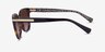Coach HC8132 L109 Dark Tortoise AcetateSunglass Frames from EyeBuyDirect, Side View