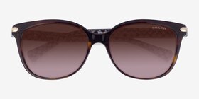 Coach HC8132 L109 Écaille Noire Acétate Soleil de Lunette de vue d'EyeBuyDirect, Vue Rapprochée